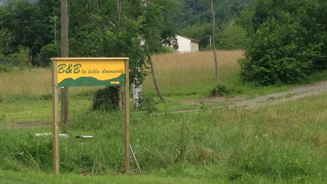 La Bella Dormiente B&B Castellamonte Dış mekan fotoğraf